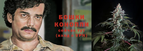 прущие крисы Ельня