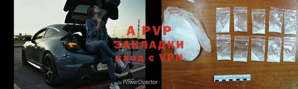 прущие крисы Ельня