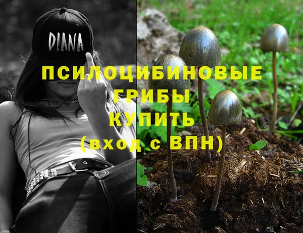 прущие крисы Ельня