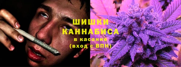 прущие крисы Ельня