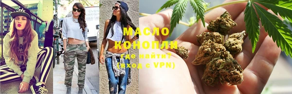 прущие крисы Ельня