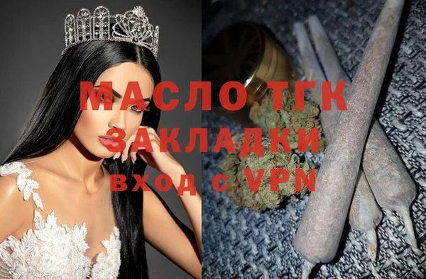прущие крисы Ельня