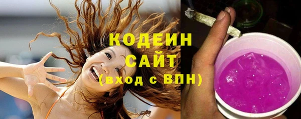 прущие крисы Ельня