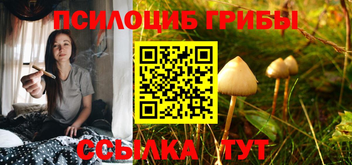 Псилоцибиновые грибы ЛСД  где купить наркотик  Ачинск  Вход с VPN 